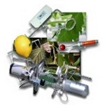Monitoring of intact plants